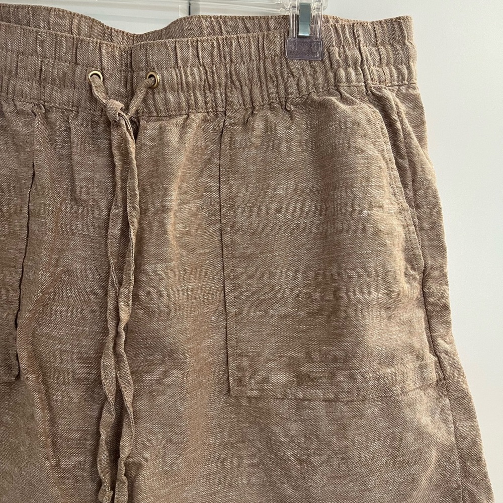 Ann Taylor Factory Brown Women's Shorts Sz L - Picture 3 of 5